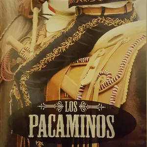 Los Pacaminos